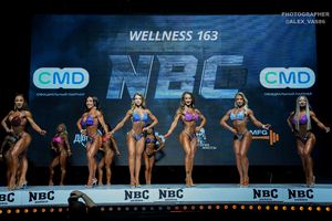 WELLNESS 163
